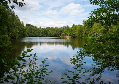 Schwarzrinder See / Weindorf in Weiskirchen