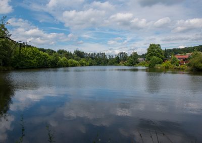 Schwarzrinder See / Weindorf in Weiskirchen