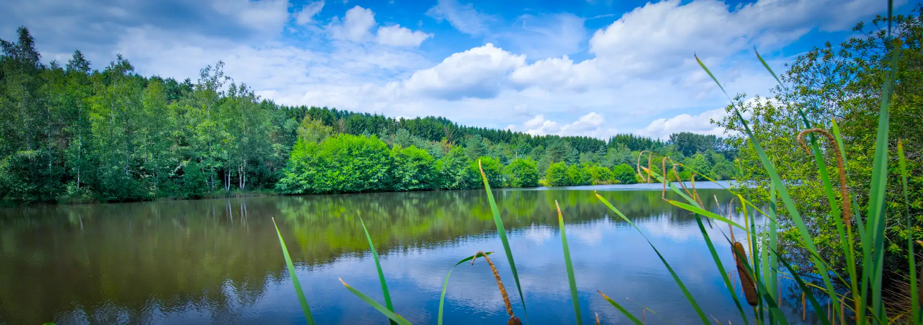 schwarzrinderseen_header_startseite-3