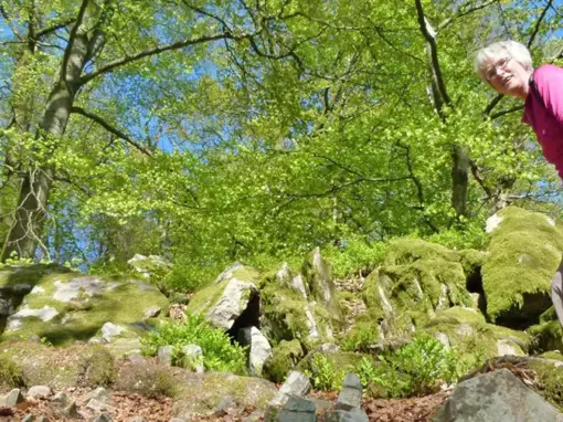 Dollbergschleife