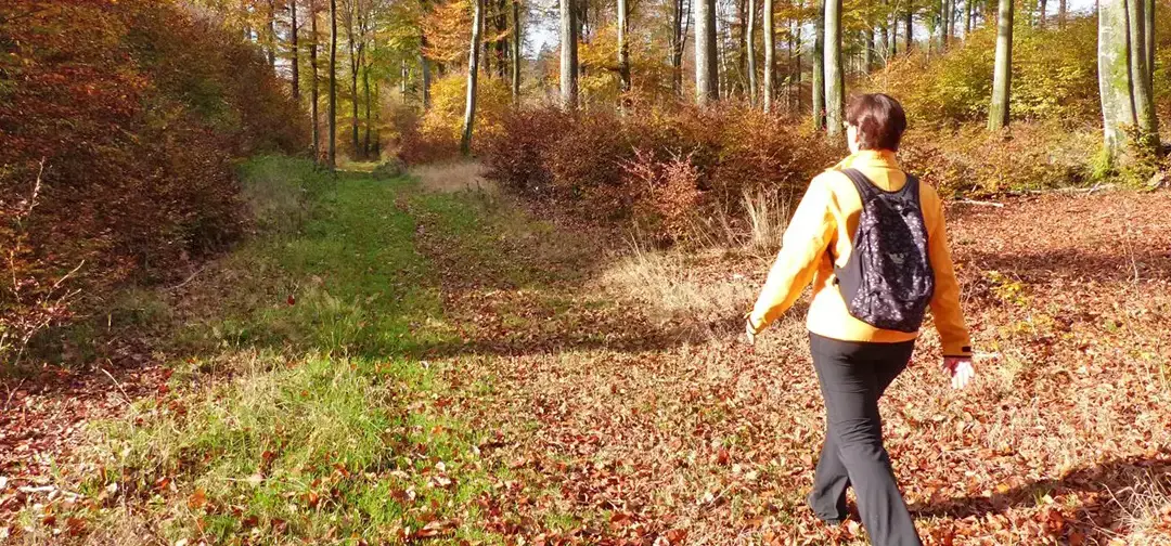 Hochwald Acht