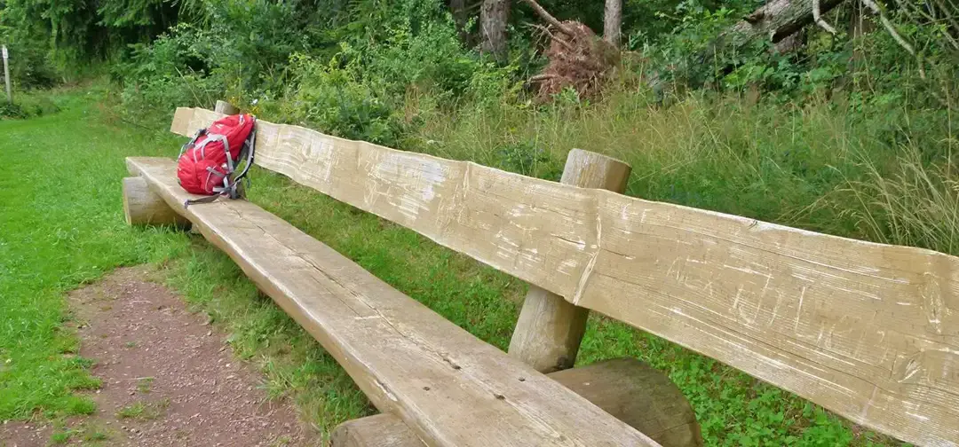 Hochwald Pfad