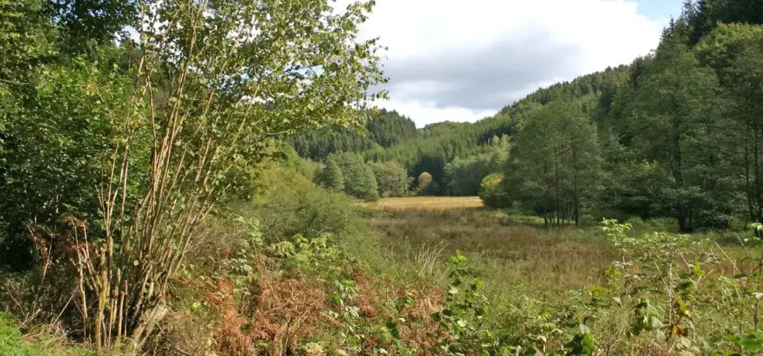 Wadrill Tafeltour