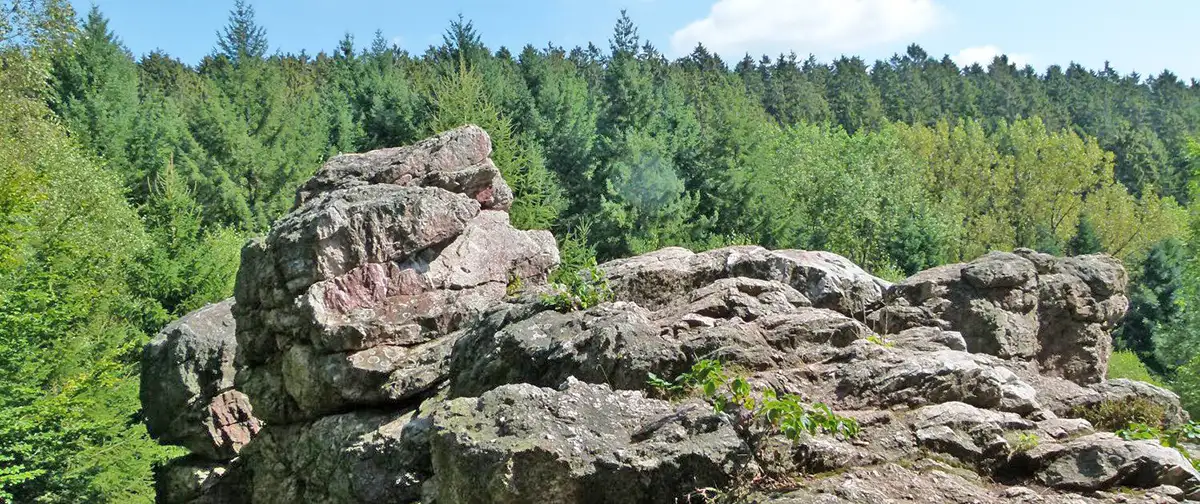 wanderweg_zwei-taeler-weg